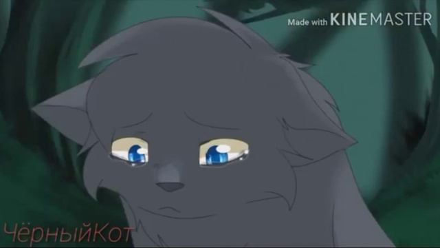 КОТЫ-ВОИТЕЛИ (я не сплю я живой) смотреть онлайн