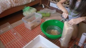 Уборка в дюне хомячка // Очень мелкие опилки