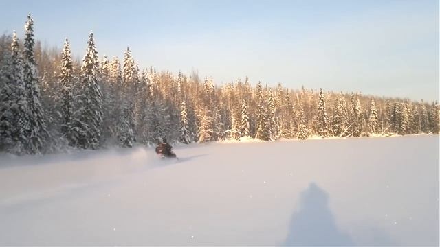 Викинг пытается догнать Скандик !! смотреть онлайн