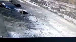 Нападение дикого кабана на людей в городе. Два  случая, два разных финала.