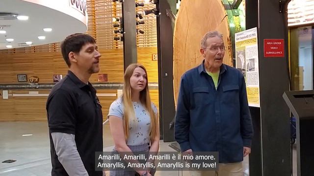 Amarilli UVS смотреть онлайн