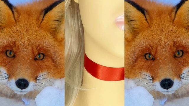 Красная атласная ленточка. Чокер. #texturelab #texturelabspb