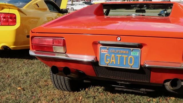 71 De Tomaso Pantera at Ford Festival смотреть онлайн