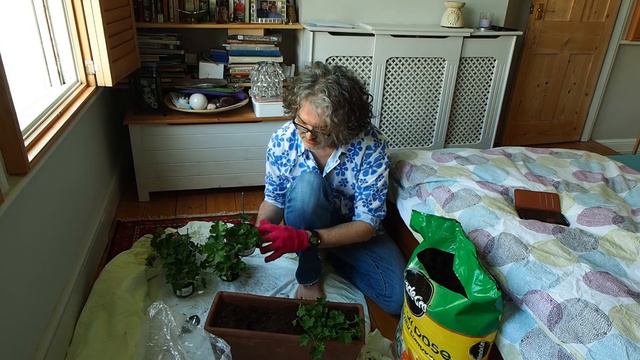 Gardening in the bedroom - May 2018 смотреть онлайн
