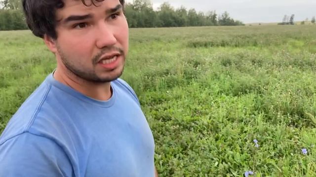 Озимый сев + козлятник смотреть онлайн