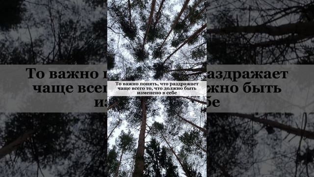 Это не его — это наше ❤️