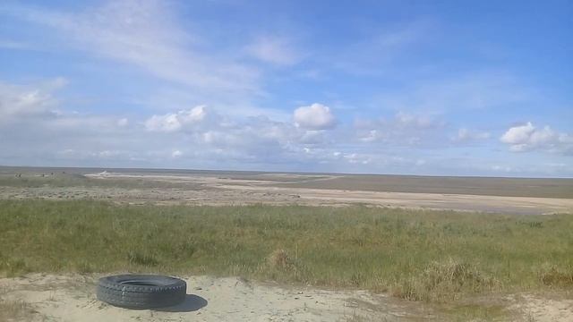 Лето, июнь, Новопортовская тундра смотреть онлайн