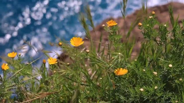 Стихотворение "Я пришел к мудрецу" Омар Хайям смотреть онлайн