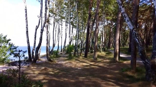 № 131 Июньским днём г. Пионерский Калининградская область 2023 смотреть онлайн