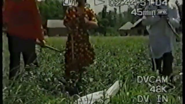 зокх 9 смотреть онлайн