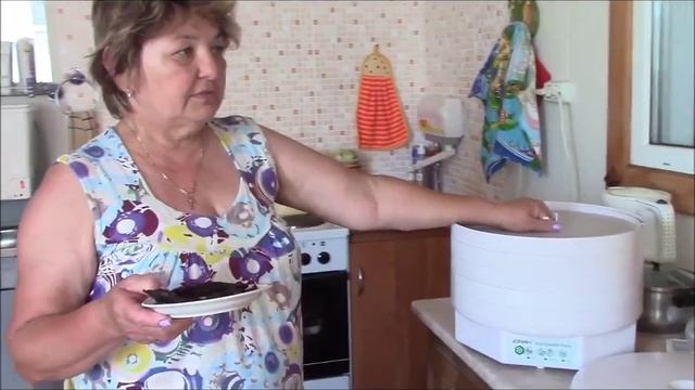 Сушим мясо на сушилке Изидри Брянская Людмила смотреть онлайн