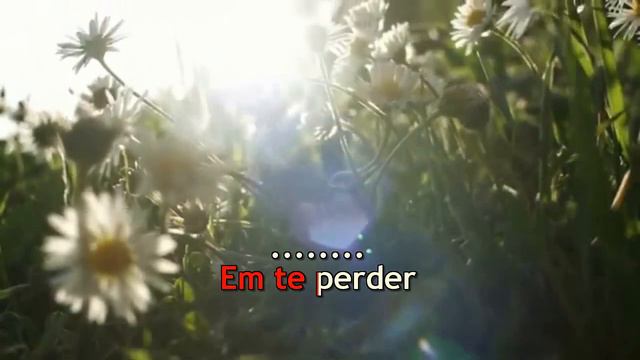 Roberto Carlos & Paulo Sergio - Seresta - Pout Pourri - Karaoke смотреть онлайн