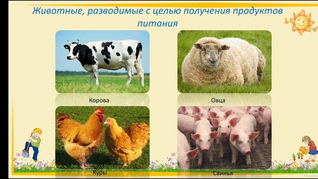 Познание мира. 2 класс. Тема: "Какова роль растений и животных в жизни человека" смотреть онлайн