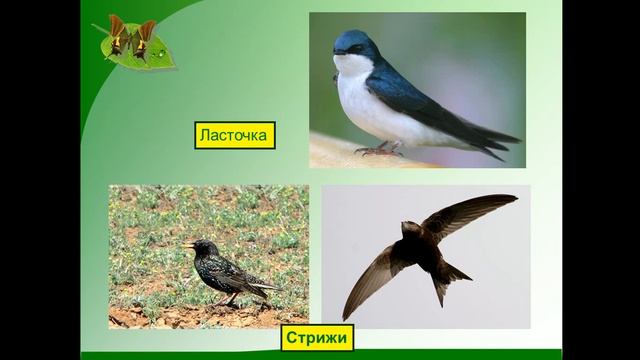 Весенние изменения в природе. 2 класс смотреть онлайн