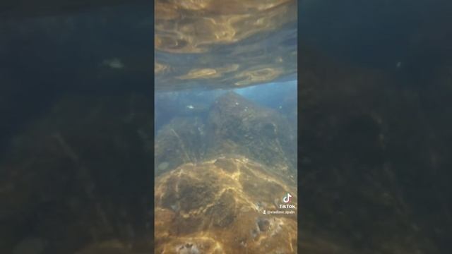 2023-08-15-014852660.mp4 смотреть онлайн