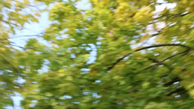 Осень в Чалтыре.30.10.20 г смотреть онлайн