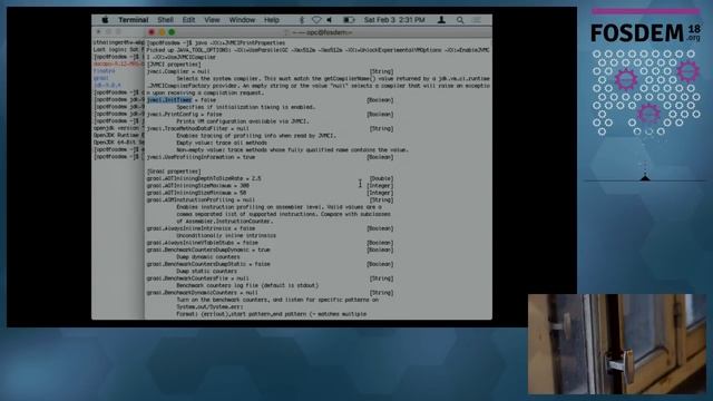 Graal: How to use the new JVM JIT compiler in real life смотреть онлайн