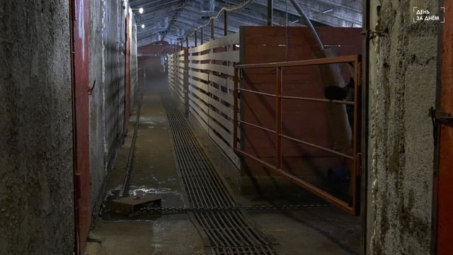 В колхозе «Победа» ведутся работы по внутренней отделке помещений смотреть онлайн