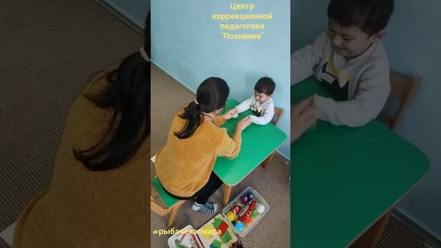 Моторная алалия. Занятие. Центр "Познание". видео ЗЕРКАЛИТ. смотреть онлайн