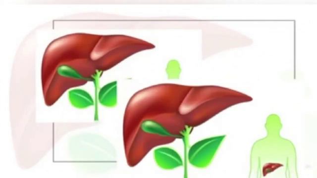 #JIGAR #SERROZI #JIGAR #RAKIGA #OLIB #KELADIMI #ЖИГАР #СЕРРОЗИ #ЖИГАР #РАКИГА #ОЛИБ #КЕЛАДИМИ