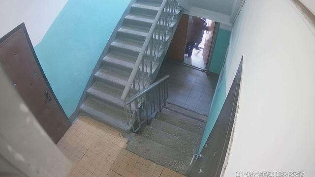 Уборка в подъездах Свиблово смотреть онлайн