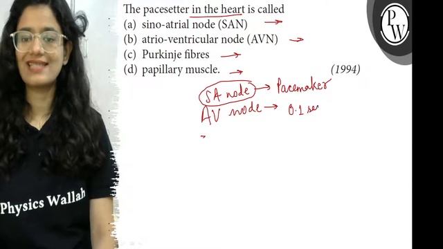 The pacesetter in the heart is called
(a) sino-atrial node (SAN)
(b) atrio-ventricular node (AVN).. смотреть онлайн