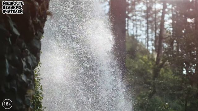 Основная цель жизни человека. ИСТИНА смотреть онлайн