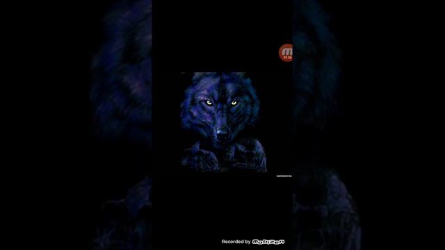 картинки под песню 11+ смотреть онлайн