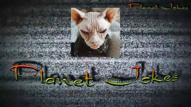 Подснежники в зале. Приколы в качалке. Приколы в спортзале. смотреть онлайн