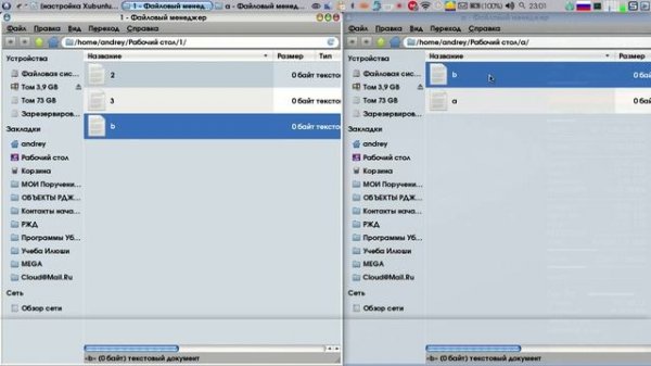 Копирование CTRL