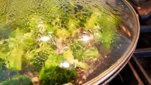 Почему замороженная брокколи более питательна, чем свежая?