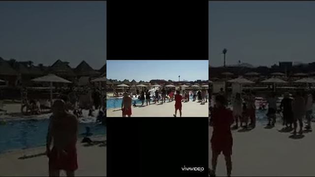 Sharma El Shiek Laguna Vista resort смотреть онлайн