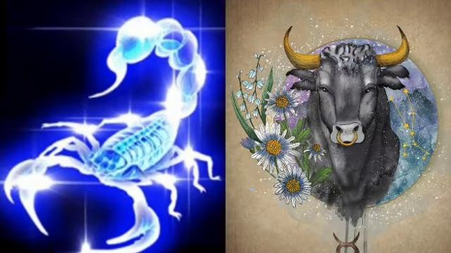 North node South node (taurus scorpio) смотреть онлайн