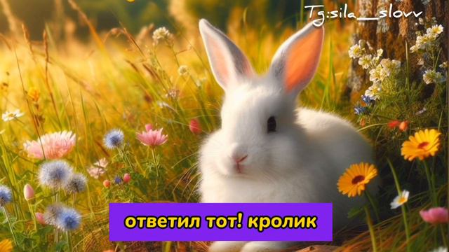 Мудрая притча про орла смотреть онлайн