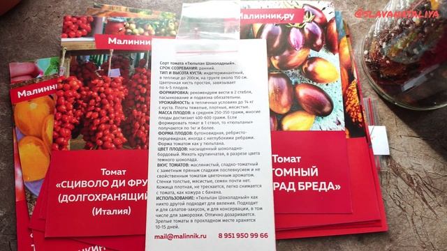 Коллекционные Сорта Томатов Наконец-то Заказ доехал Обзор Дачница Натали @natalfrol смотреть онлайн