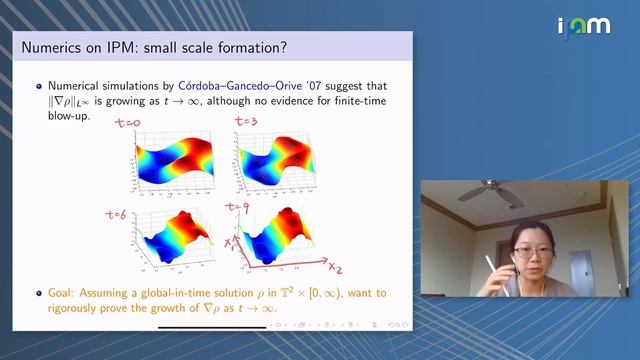 Yao Yao: "Small scale formations in the incompressible porous media equation" смотреть онлайн