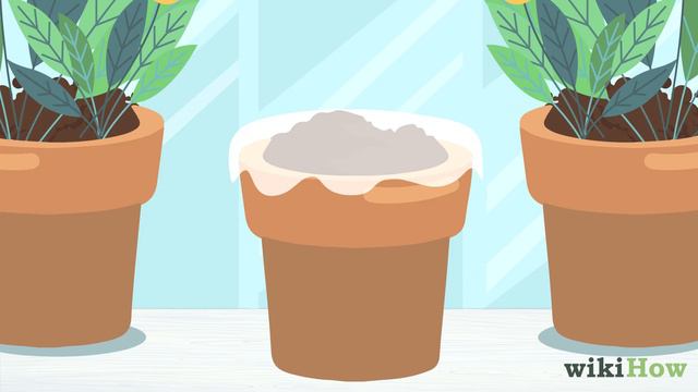 How to Plant a Lemon Seed смотреть онлайн