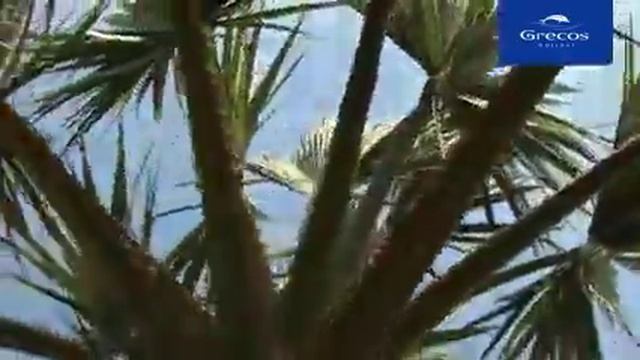 filoxenia.flv смотреть онлайн