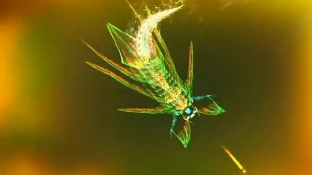 Sparkle 2 EVO, Review