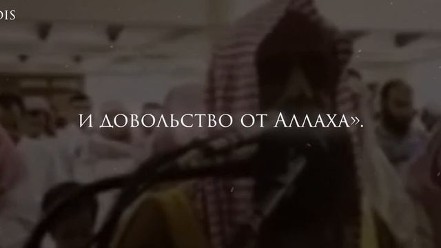 Аллах засвидетельствовал, что нет божества, кроме Него смотреть онлайн