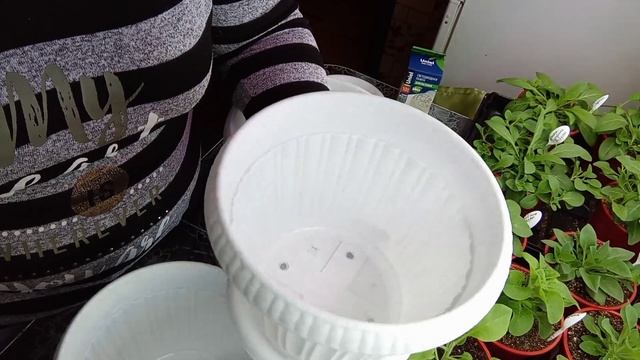 ?Что купила в Леруа??Садовй шопинг.? смотреть онлайн