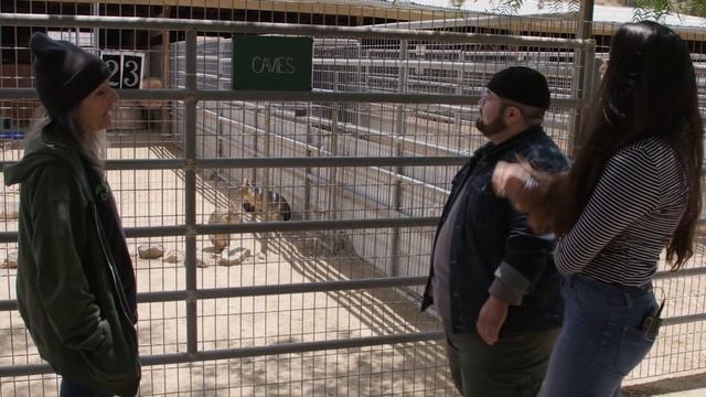 Try Not to Touch Challenge #3 | Wild Animals (React) смотреть онлайн