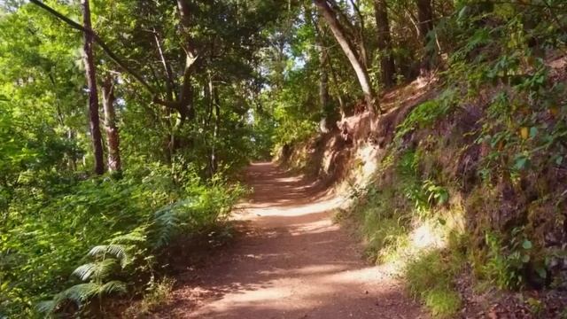 27 марта народный праздник Венедиктов день. Что нельзя делать. Народные традиции и приметы. смотреть онлайн