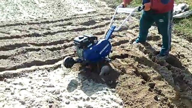 Hyundai T500 - культивация огорода (cultivating the garden). смотреть онлайн