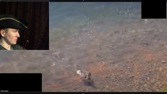 БЕШЕНЫЙ КЛЁВ ЩУКИ В ДИКОМ БОЛОТЕ !!! В ЭТОЙ ЛУЖЕ МНОГО РЫБЫ ! Жор и ловля монстров ВОТ ЭТО РЫБАЛКА смотреть онлайн