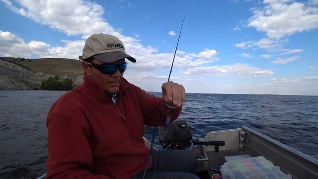 Лучший ВИБ (РАТТЛИН) на Судака - Jackall TN70 Trigon ▶ Fishing 2023