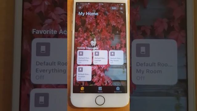 Using Siri To Control Your Alexa Smart Home Devices