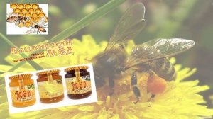 Мой край родной Башкортостан!