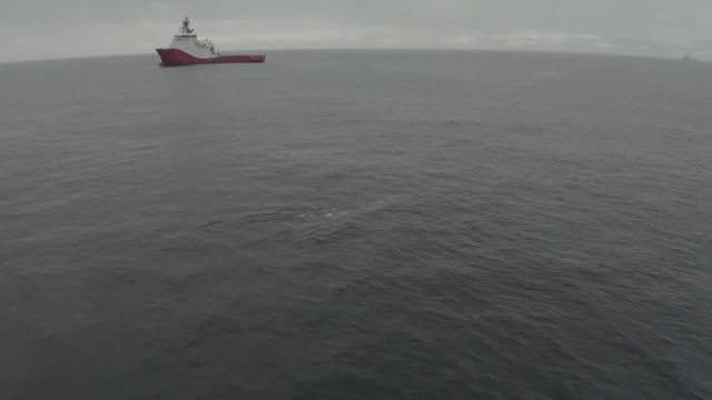 Невероятные СЕРЫЕ КИТЫ и суровое Охотское МОРЕ. Мониторинг Китов на Сахалине. Газпромнефть. NEW VLO