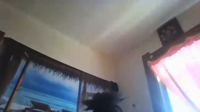 LiVE TAROT READS 2 ORACLE & DONATIONS ( READ DESCRIPTION BOX ) смотреть онлайн